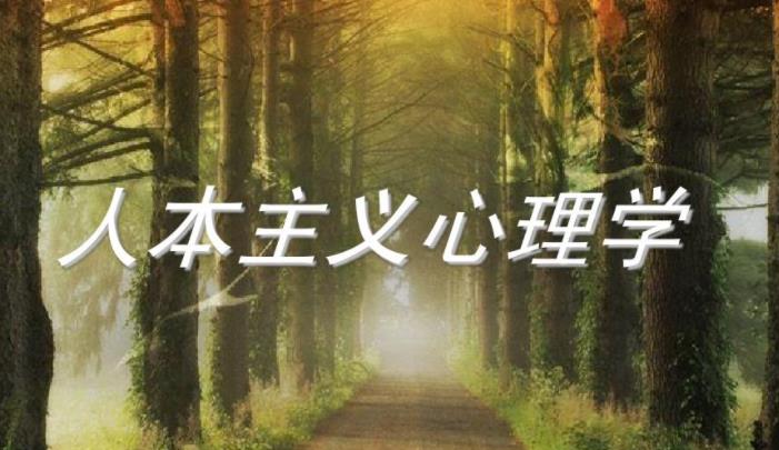 心理学Essay怎么写